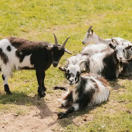 Sandwath Farm By Wigwam Holidays * קירקבי סטפן