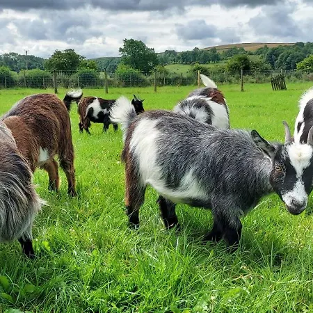 Sandwath Farm By Wigwam Holidays