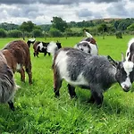 Sandwath Farm By Wigwam Holidays
